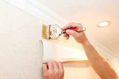 Pose de papier peint à Panissières — revêtements muraux et toiles de verre